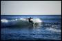 Jonathan Vesely -Surfing je nas zivot