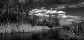 Fotograf roku v přírodě 2011 - Karvinská jezera