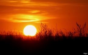 Fotograf roku v přírodě 2011 - Slunce všech dnů ještě nezapadlo.