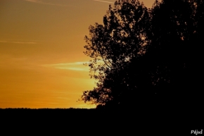Fotograf roku v přírodě 2011 - Vše dobré na zemi je od člověka a vše krásné od slunce.