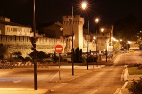Fotograf roku na cestách 2011 - Noční Avignon