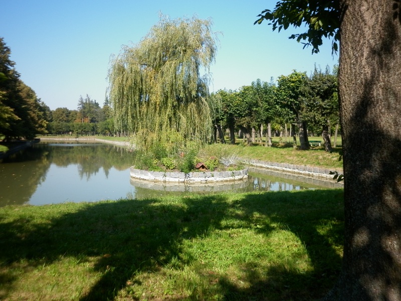 Ostrůvek v zámecké rybníku v Holešově