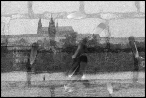 Černobílá fotografie - Praha - město holubů