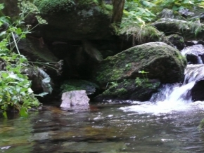 Divoká příroda - voda