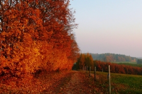 Moje Krajina - Cesta podzimem