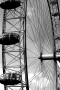 Klára Čarková -London Eye