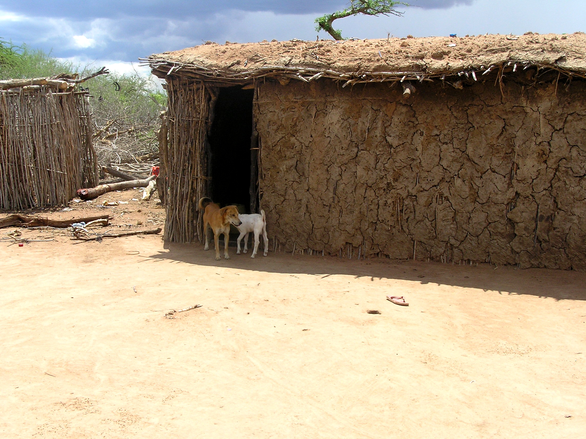 Masajské obydlí