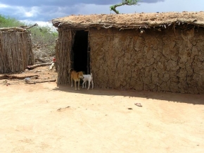 Poezie domů - Masajské obydlí