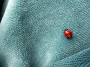 daniela Ježorská -Ladybird
