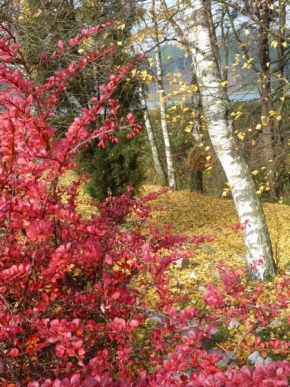 Moje Krajina - Podzim u Kladiny za starou Říší