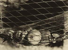 Černobílá fotografie - na houpačce