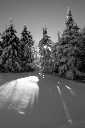 Fotograf roku na cestách 2012 - Zimní