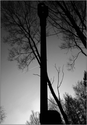 Černobílá fotografie - Canón