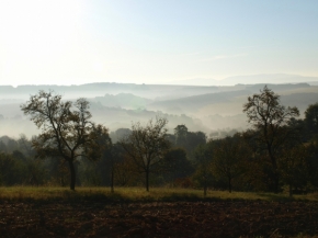 Moje Krajina - V ranní mlze