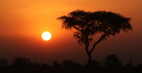 Moje Krajina - Svítání v Ugandě