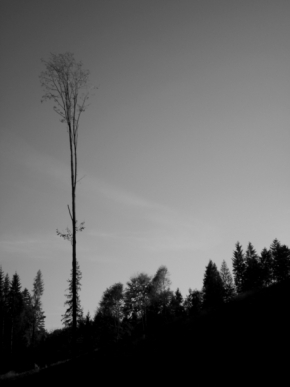 Černobílá fotografie - měsíční krajina 