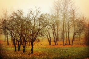 Moje Krajina - Mlha na sídlišti