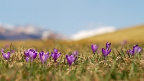 Moje Krajina - Jar v Nízkych Tatrách