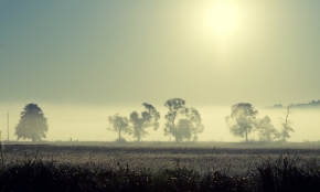 Moje Krajina - ranni mlha