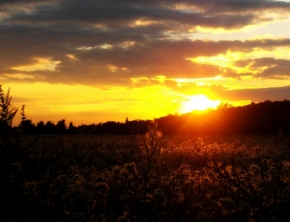 Moje Krajina - Slunce je krásný básník