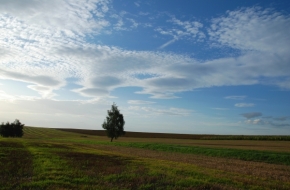 Vlasta Böhmová - v polích