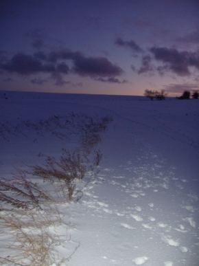 Moje Krajina - Zimní soumrak nad krajinou