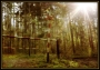 Rudolf Stančík -Závory v lese