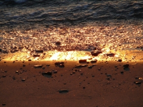 Fotograf roku v přírodě 2012 - Dary moře