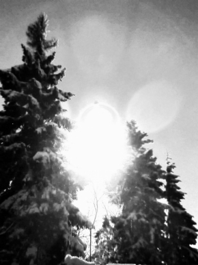 Černobílá fotografie - Slunce