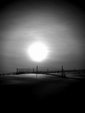 Černobílá fotografie - sny slunce