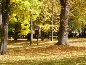Má nejkrásnější krajina - Podzimní listí