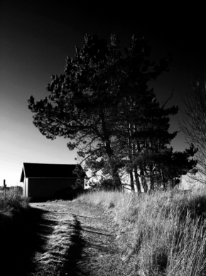 Černobílá fotografie - Way of sence