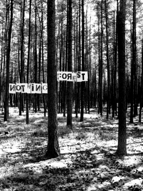 Černobílá fotografie - Nothing Forest