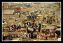 Josef Nekvasil -Trh v Africe