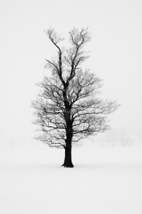 Černobílá fotografie - Dokonalost