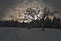 Jana Chumová -Strom v oblacích