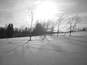 Černobílá fotografie - Sněhová krajina