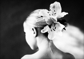 Černobílá fotografie - Lilie