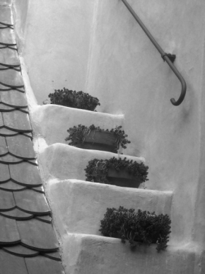 Černobílá fotografie - roof stairs