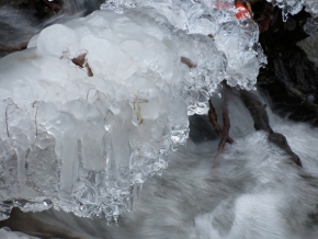 Fotograf roku v přírodě 2012 - krásy ledu