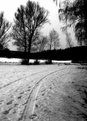 Černobílá fotografie - Cestou necestou