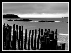 Černobílá fotografie - Před bouří
