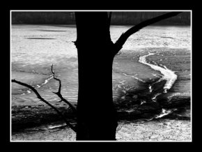 Černobílá fotografie - Vypuštěný rybník