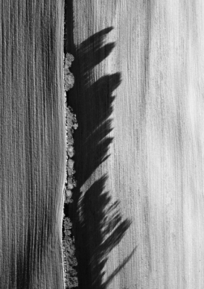 Černobílá fotografie - Hřebínek