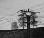Dana Klimešová -elektřina na dřevo