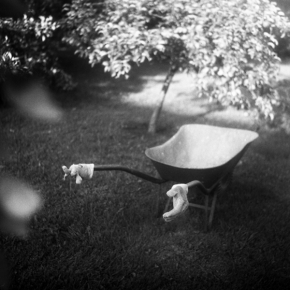 Černobílá fotografie - Na zahradě