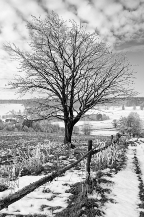 Černobílá fotografie - Cestou na chalupu