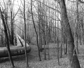 Černobílá fotografie - potrubí v lese