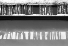 Černobílá fotografie - Zimní linie