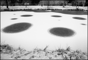 Černobílá fotografie - Fotograf roku - Kreativita - IV. kolo - Zima 2